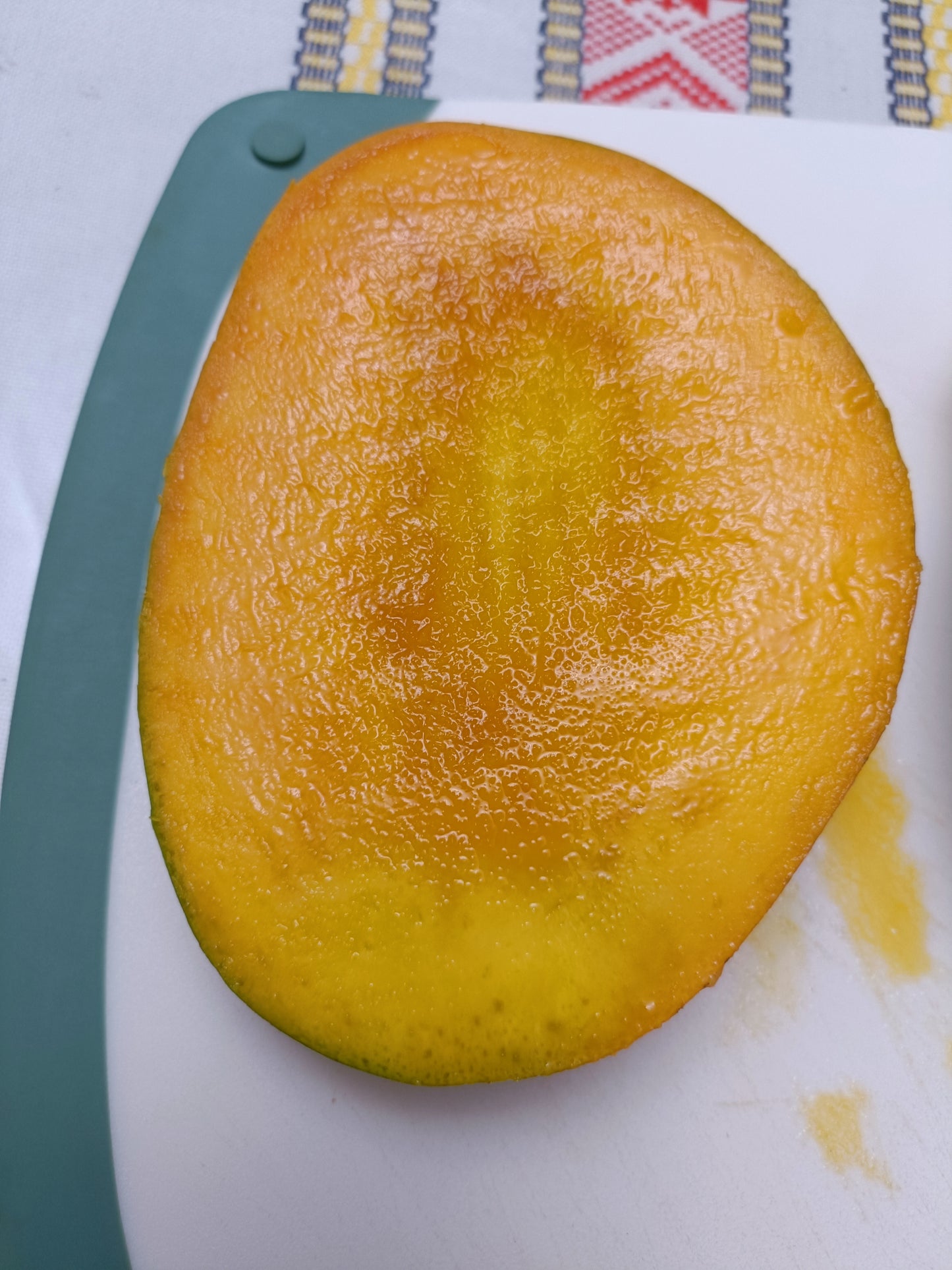 Grafted Big Z Mango Tree (Medium)