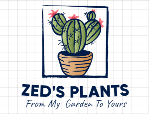 ZED'S Plants 